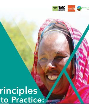 principles-into-practice-aid-localization-report